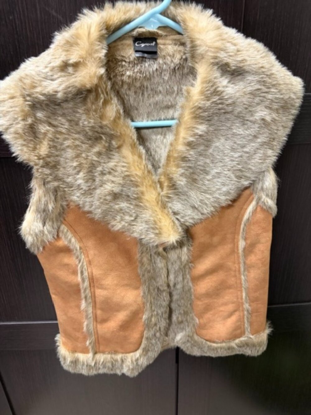 Vest - Faux Fur and Suede